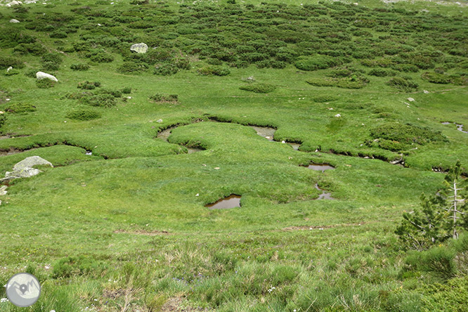 El valle y los lagos de Gerber 1 