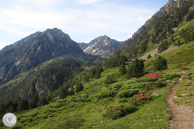 El valle y los lagos de Gerber 1 