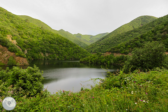 El Castanyer Gros de Can Cuch y el pantano de Vallforners 1 