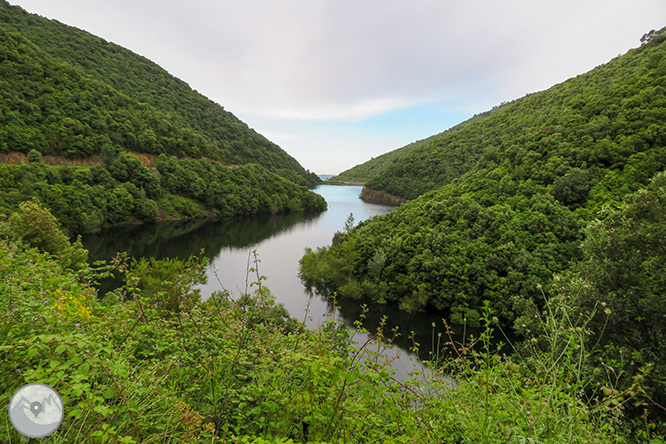 El Castanyer Gros de Can Cuch y el pantano de Vallforners 1 