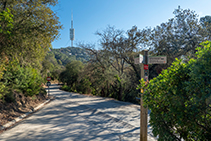 Camino del Salze, con vistas a la Torre de Collserola.