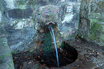 Detalle de la fuente de la Budellera, con el agua que mana de la cara pegada a la pared de piedra.