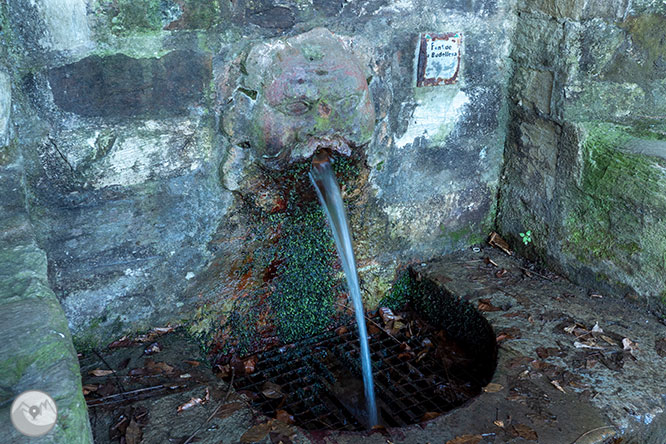 De Vallvidrera al Tibidabo por la fuente de la Budellera 1 