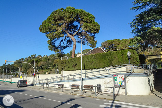 De Vallvidrera al Tibidabo por la fuente de la Budellera 1 