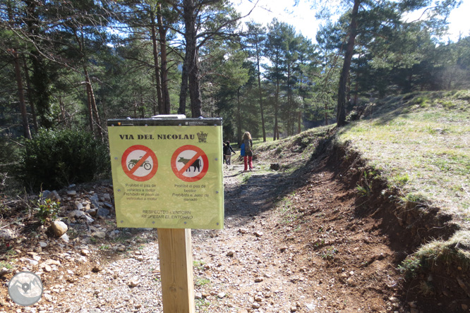 Vía del Nicolau en el Alto Berguedá 1 