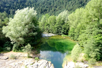 Las aguas verdes del Llobregat.