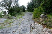 El sendero en Sant Quirze.