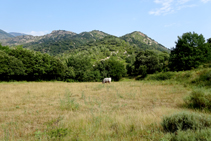 Los prados rodean la ermita de Sant Quirze de Pedret.