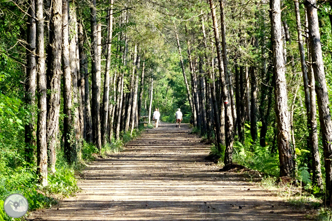 Vía Verde de Cal Rosal a Pedret 1 