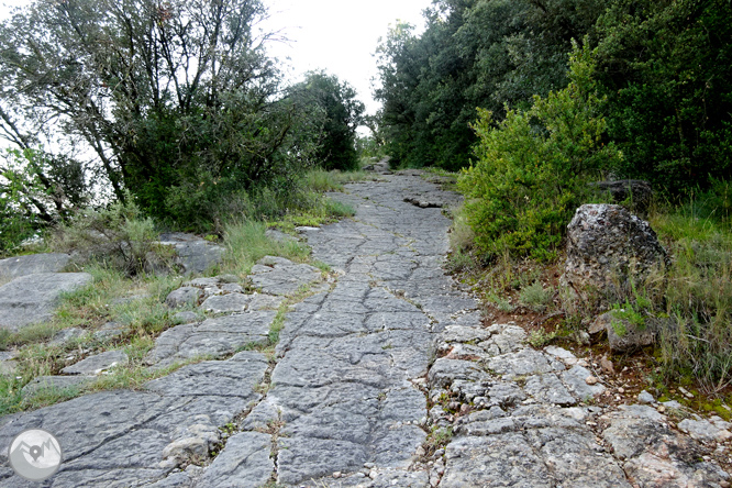 Vía Verde de Cal Rosal a Pedret 1 