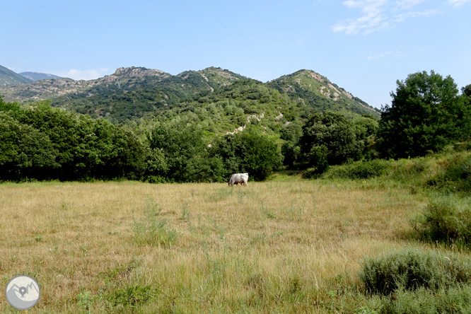 Vía Verde de Cal Rosal a Pedret 1 