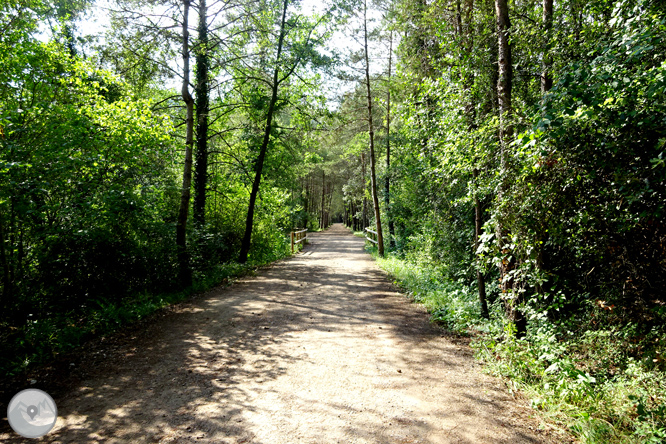 Vía Verde de Cal Rosal a Pedret 1 