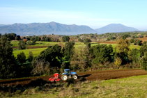 Las fértiles tierras del volcán de la Crosa.