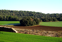 Interior del cráter del volcán.