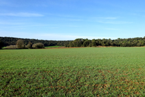 Campos de cereales dentro del cráter.