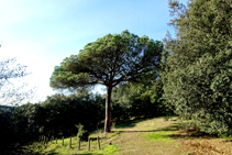 Camino de regreso a las Guilloteres.