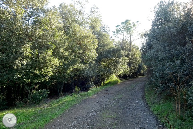 El volcán de la Crosa de Sant Dalmai 1 