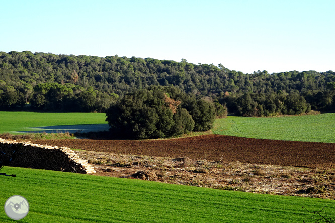 El volcán de la Crosa de Sant Dalmai 1 