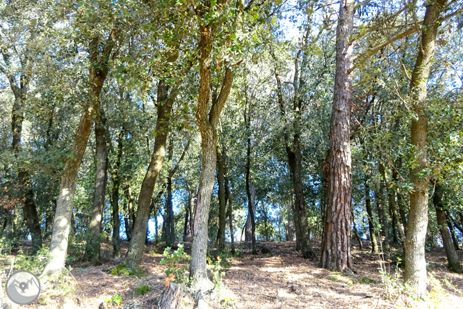 El volcán de la Crosa de Sant Dalmai 1 