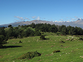 Vuelta a la sierra de Freixa desde Llagunes