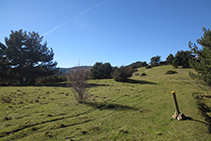 Alto de la sierra de Freixa.