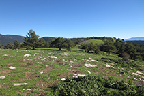 El lomo de la sierra de Freixa (en dirección E).