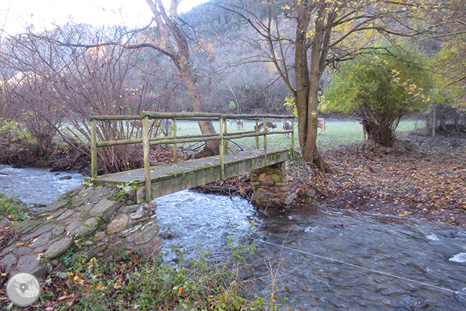 Vuelta a la sierra de Freixa desde Llagunes 1 