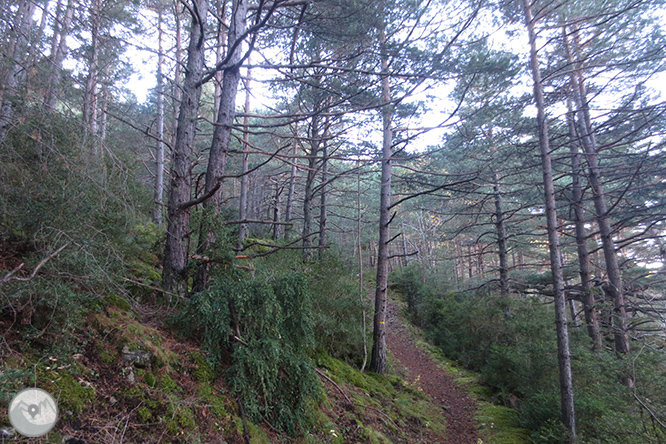 Vuelta a la sierra de Freixa desde Llagunes 1 