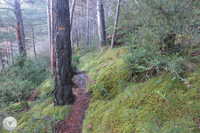 Vuelta a la sierra de Freixa desde Llagunes 1 