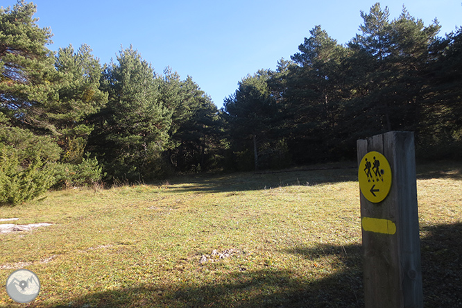 Vuelta a la sierra de Freixa desde Llagunes 1 