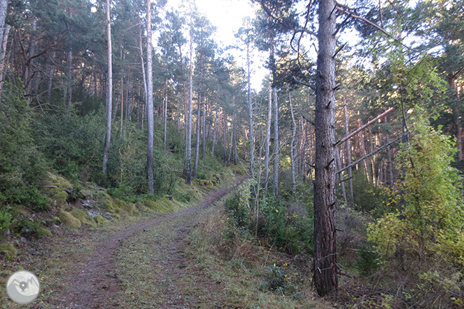 Vuelta a la sierra de Freixa desde Llagunes 1 