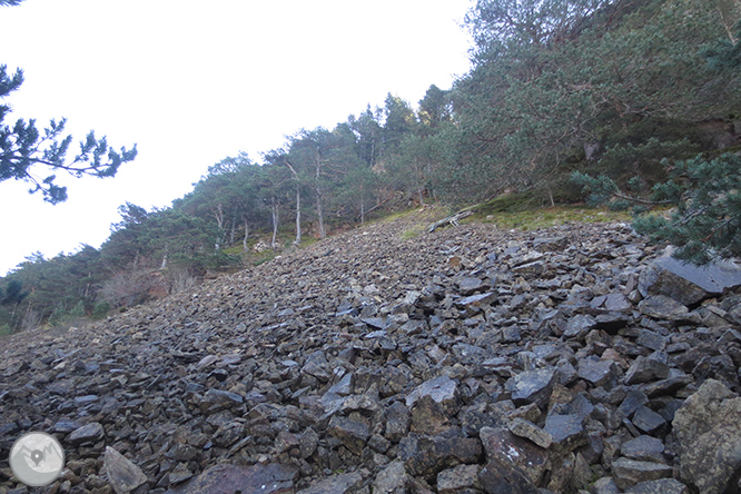 Vuelta a la sierra de Freixa desde Llagunes 1 