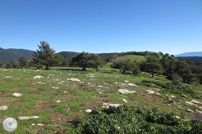 Vuelta a la sierra de Freixa desde Llagunes 1 