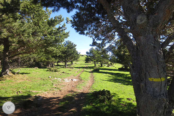 Vuelta a la sierra de Freixa desde Llagunes 1 