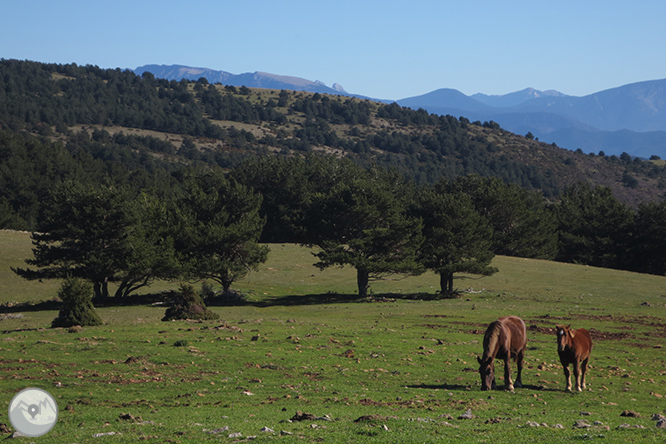 Vuelta a la sierra de Freixa desde Llagunes 1 