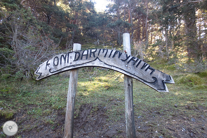 Vuelta a la sierra de Freixa desde Llagunes 1 