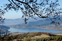 Vistas entre los robles en el pantano de Sant Antoni.