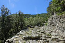 Camino empedrado a las bordas de Arnui.