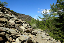 Rocas de pizarras.