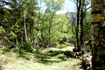 Camino de las bordas a Llavorsí.