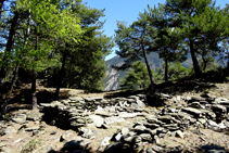 Restos de construcciones en el bosque de Arnui.