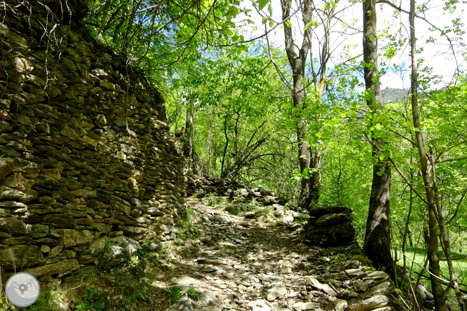 Vuelta a los campos de Arnui desde Llavorsí 1 