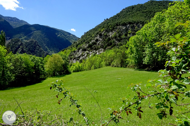 Vuelta a los campos de Arnui desde Llavorsí 1 