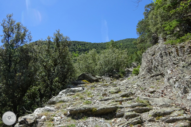 Vuelta a los campos de Arnui desde Llavorsí 1 