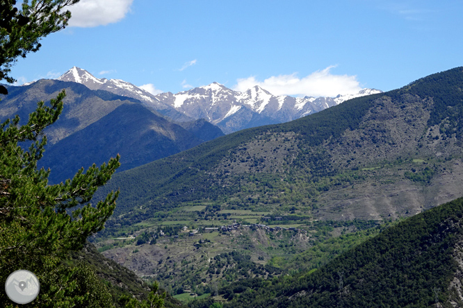 Vuelta a los campos de Arnui desde Llavorsí 1 