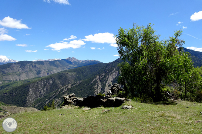 Vuelta a los campos de Arnui desde Llavorsí 1 