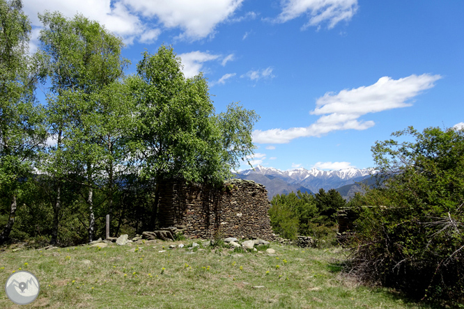 Vuelta a los campos de Arnui desde Llavorsí 1 