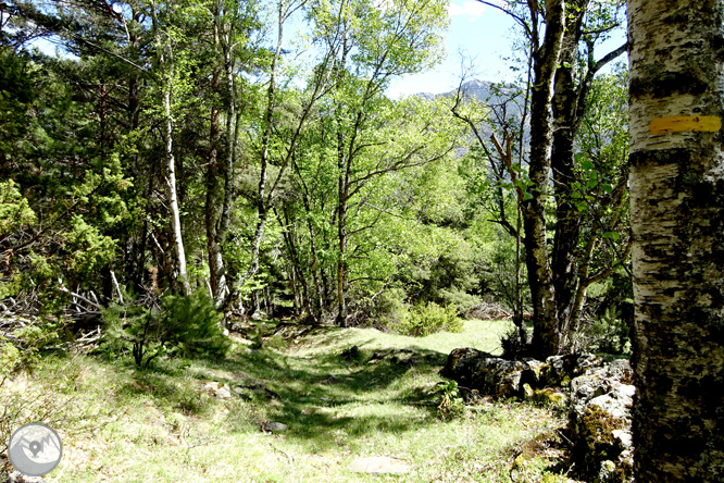 Vuelta a los campos de Arnui desde Llavorsí 1 