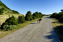 La pista transcurre entre campos de cultivo y riscos que no dejan indiferente.