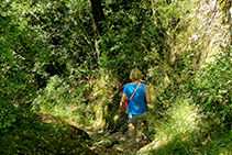 El camino que baja desde la ermita de Sant Corneli, frondoso y bien marcado.